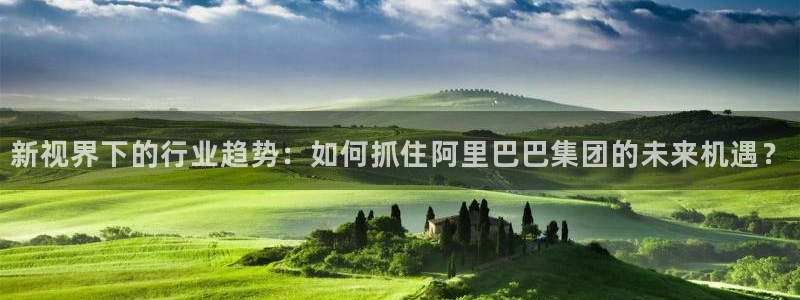 美狮贵宾会注册平台：新视界下的行业趋势：如何抓住阿里巴巴集团的未来机遇？