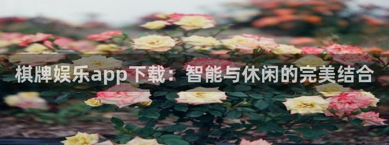 美狮贵宾会4注册：棋牌娱乐app下载：智能与休闲的完美结合