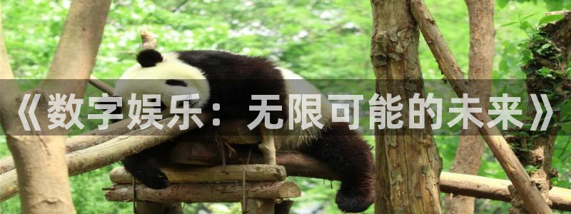 美狮贵宾会电子有限公司：《数字娱乐：无限可能的未来》