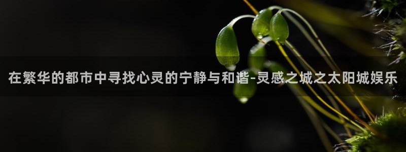 美狮贵宾会3注册：在繁华的都市中寻找心灵的宁静与和谐-灵感之城之太阳城娱乐