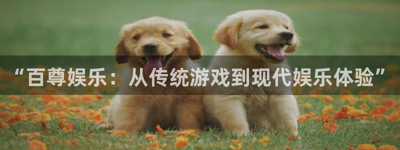 美狮贵宾会注册官网入口：“百尊娱乐：从传统游戏到现代娱乐体验”