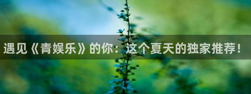 美狮贵宾会链接：遇见《青娱乐》的你：这个夏天的独家推荐！