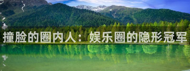 美狮贵宾会2平台登录：撞脸的圈内人：娱乐圈的隐形冠军