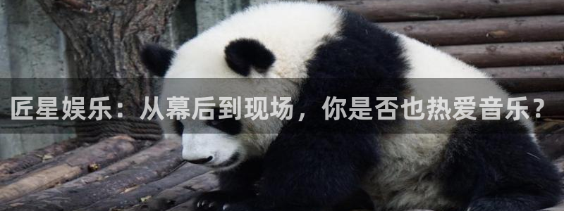 美狮贵宾会登录：匠星娱乐：从幕后到现场，你是否也热爱音乐？