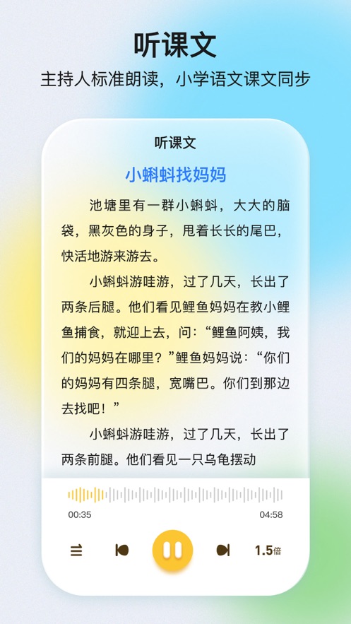 口袋网校app